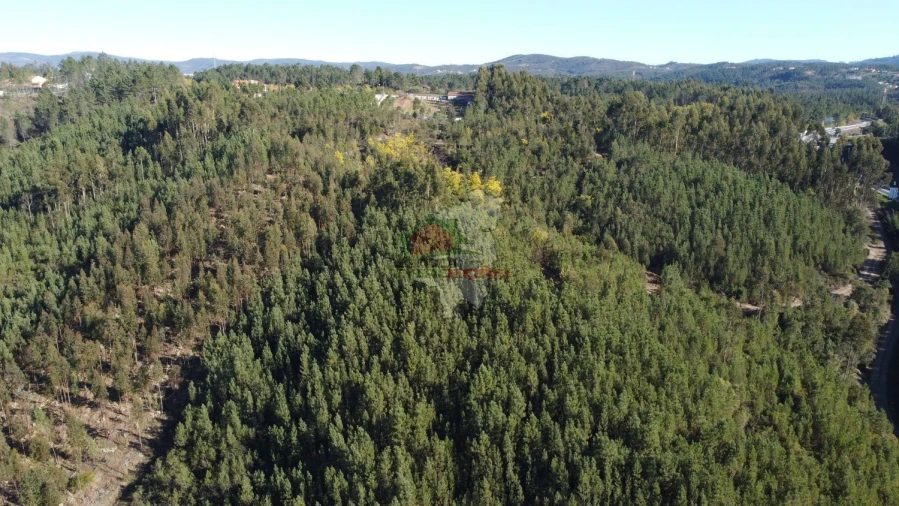 Terreno para Venda em Sertã Foto 6