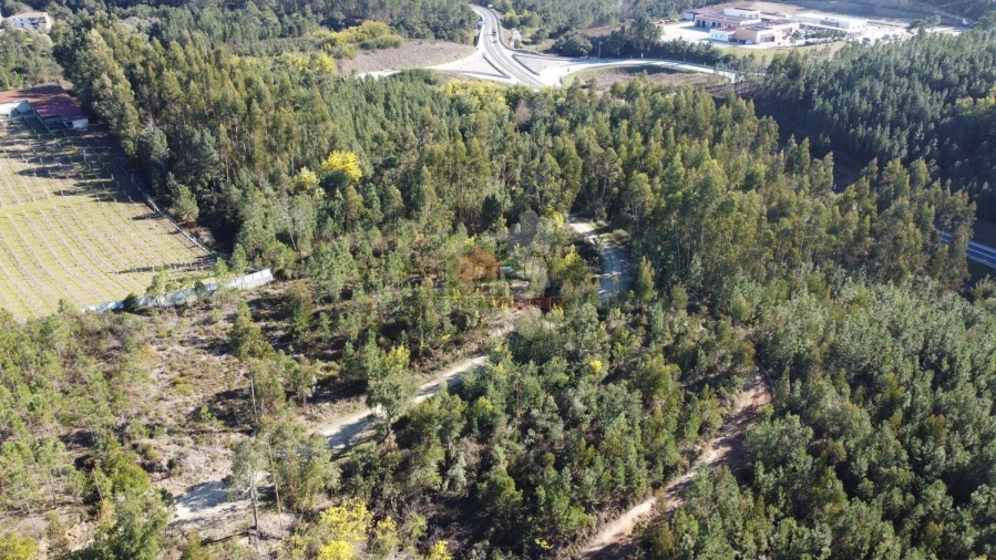 Terreno para Venda em Sertã Foto 22