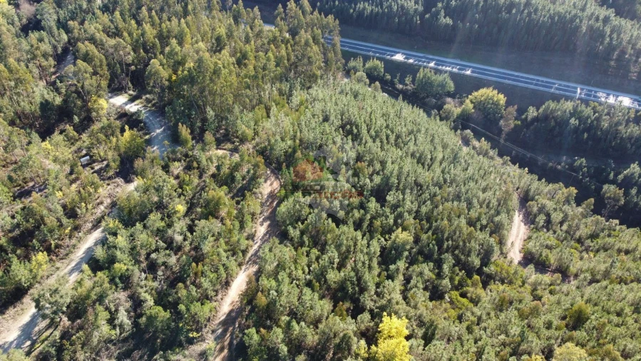 Terreno para Venda em Sertã Foto 14