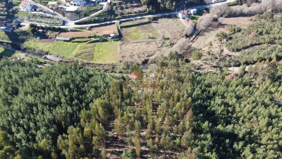 Terreno para Venda em Sertã Foto 18