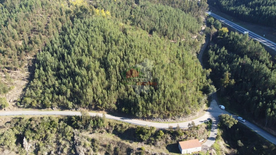 Terreno para Venda em Sertã Foto 3