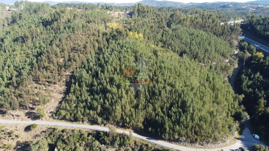 Terreno para Venda em Sertã