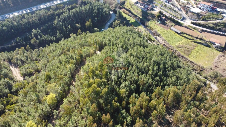 Terreno para Venda em Sertã Foto 17