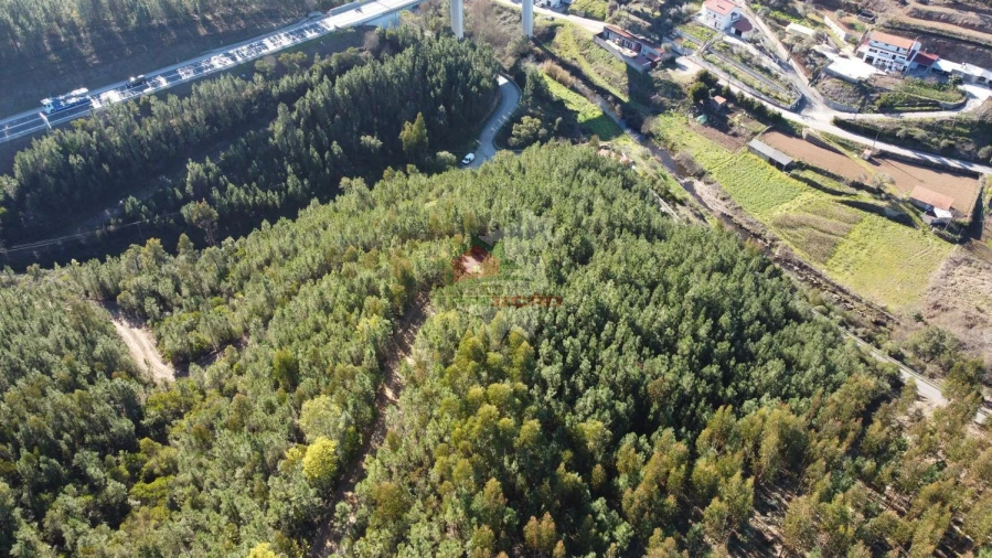 Terreno para Venda em Sertã Foto 13