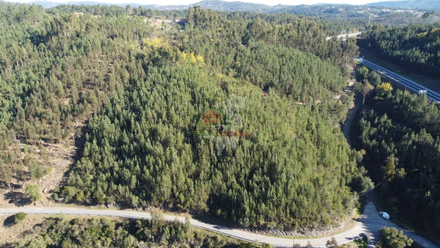 Terreno para Venda em Sertã Foto 2