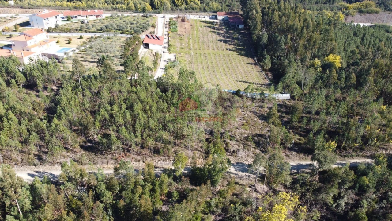 Terreno para Venda em Sertã Foto 21