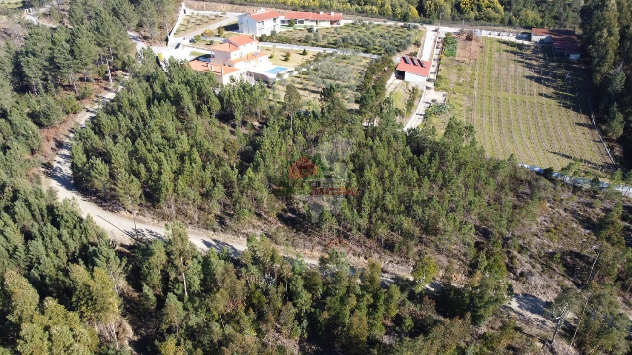 Terreno para Venda em Sertã Foto 20