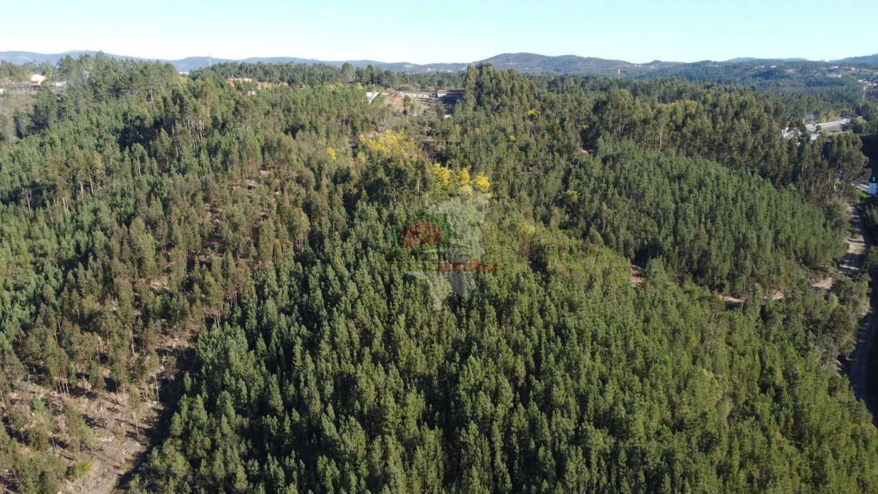 Terreno para Venda em Sertã Foto 6