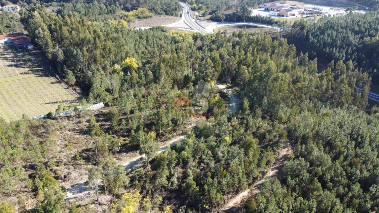 Terreno para Venda em Sertã Foto 22
