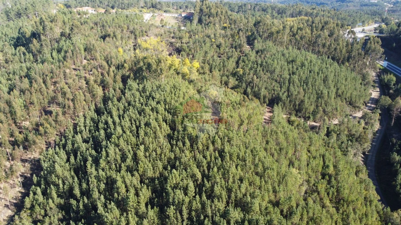 Terreno para Venda em Sertã Foto 10