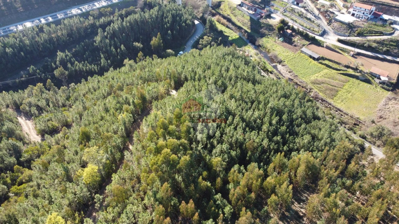 Terreno para Venda em Sertã Foto 17