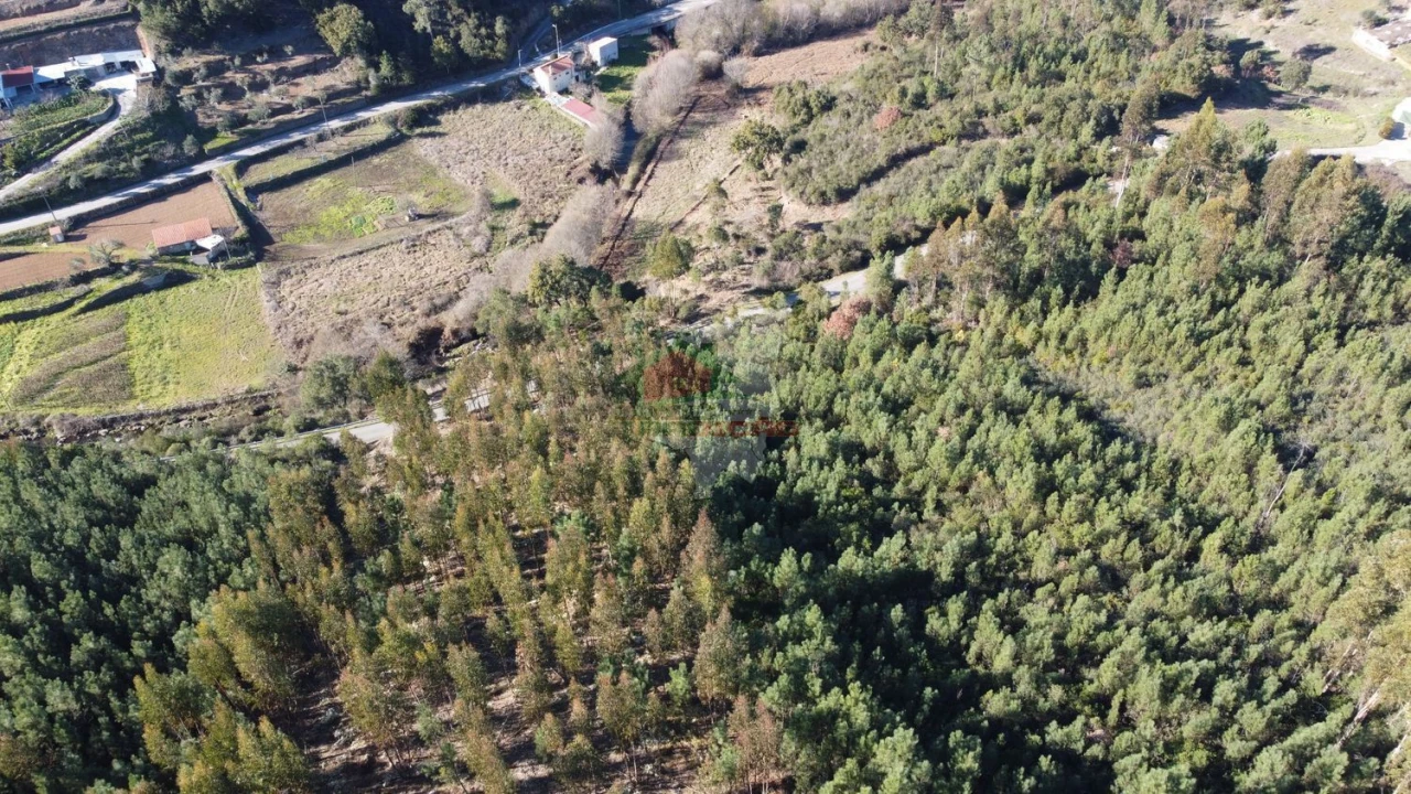 Terreno para Venda em Sertã Foto 19