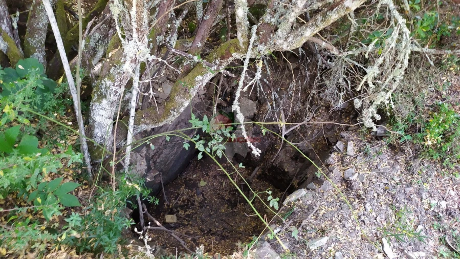 Moradia T2 para Venda em Portela do Fojo-Machio Foto 41