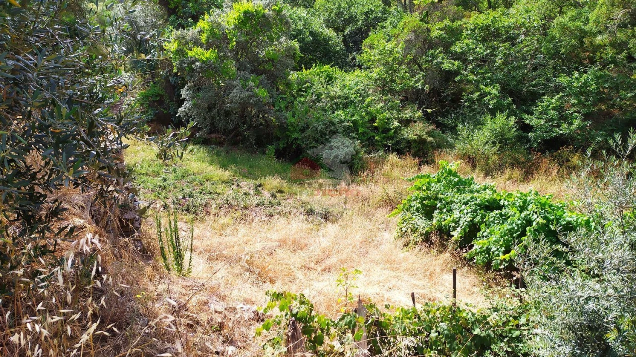 Moradia T2 para Venda em Portela do Fojo-Machio Foto 37