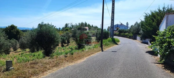 Terreno para Venda em Cernache do Bonjardim, Nesperal e Palhais