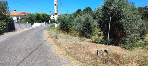 Terreno para Venda em Cernache do Bonjardim, Nesperal e Palhais