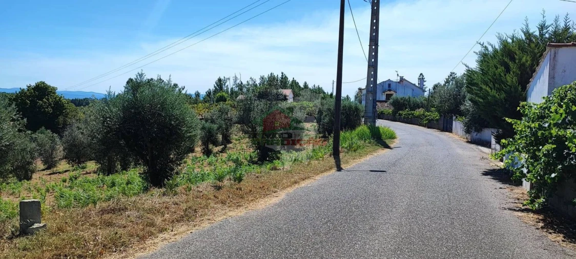 Terreno para Venda em Cernache do Bonjardim, Nesperal e Palhais Foto 12