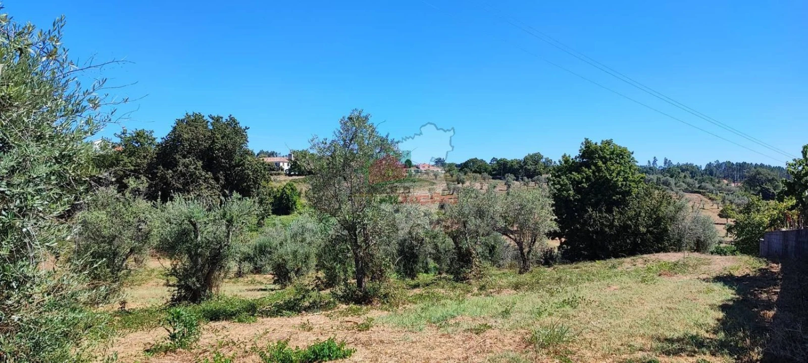 Terreno para Venda em Cernache do Bonjardim, Nesperal e Palhais Foto 14