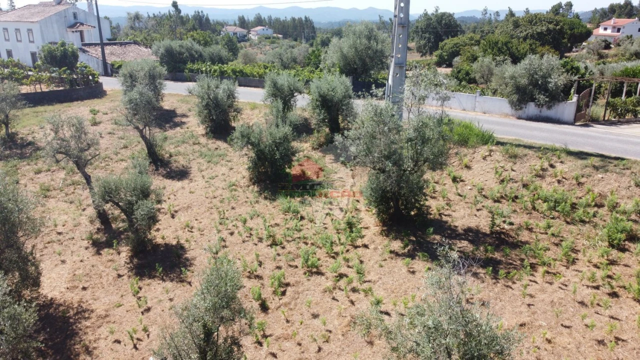 Terreno para Venda em Cernache do Bonjardim, Nesperal e Palhais Foto 9