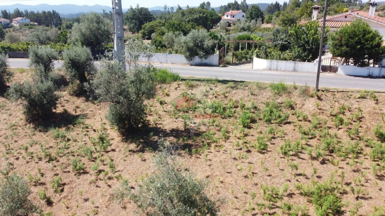 Terreno para Venda em Cernache do Bonjardim, Nesperal e Palhais Foto 20