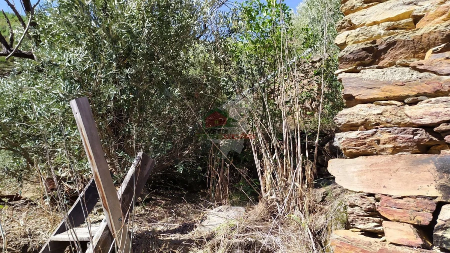 Quinta T0 para Venda em Sobral Foto 33