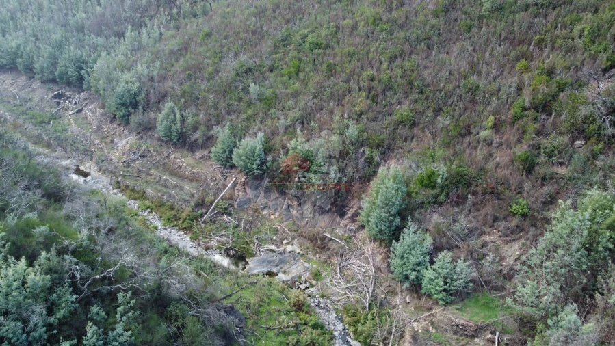 Quinta T0 para Venda em Sobral Foto 22