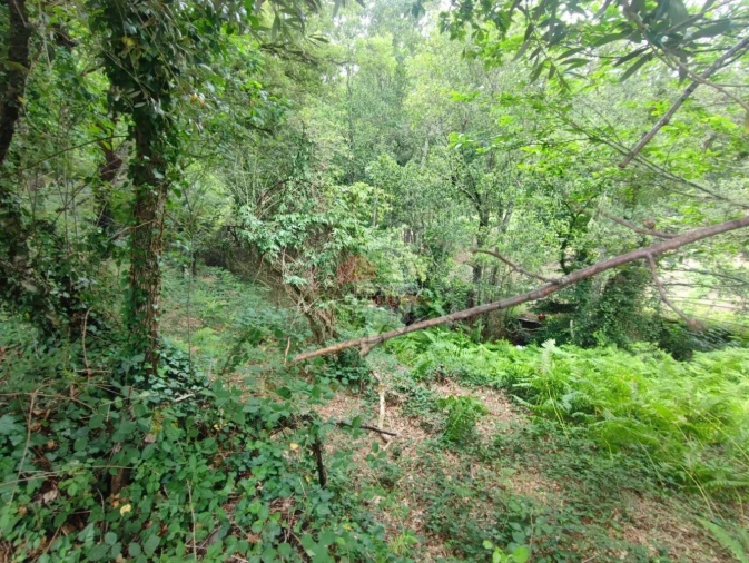 Terreno para Venda em Pedrogão Grande Foto 7
