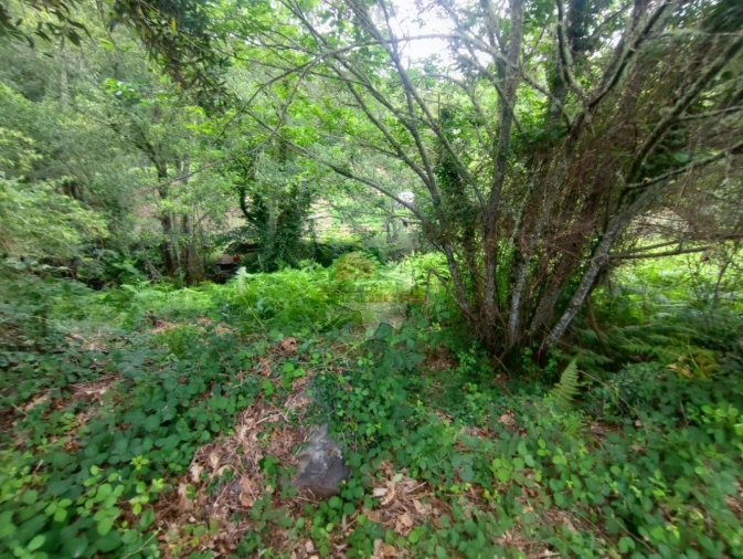 Terreno para Venda em Pedrogão Grande