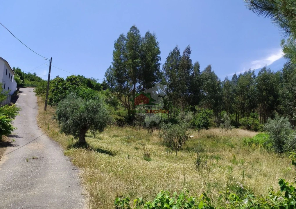 Terreno para Venda em Portela do Fojo-Machio Foto 9