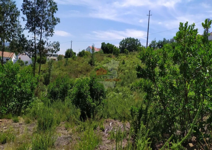 Terreno para Venda em Portela do Fojo-Machio