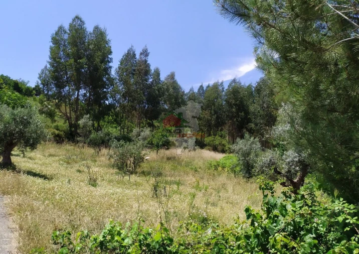 Terreno para Venda em Portela do Fojo-Machio Foto 11