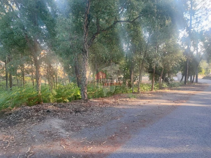 Terreno para Venda em Sertã Foto 10