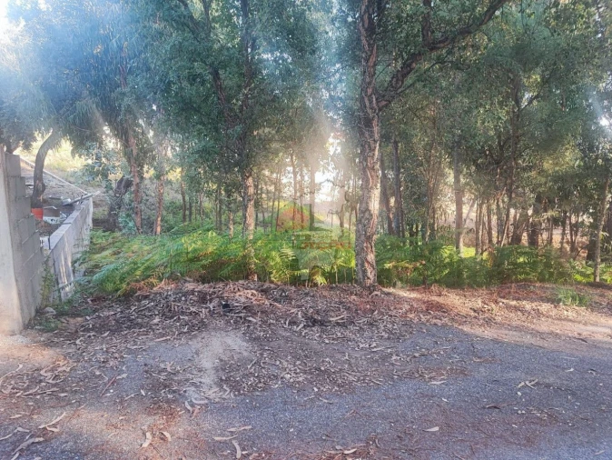 Terreno para Venda em Sertã Foto 4