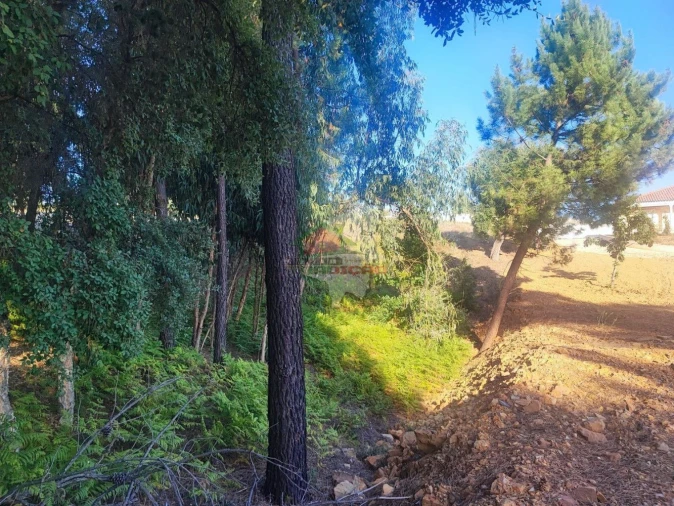 Terreno para Venda em Sertã Foto 9