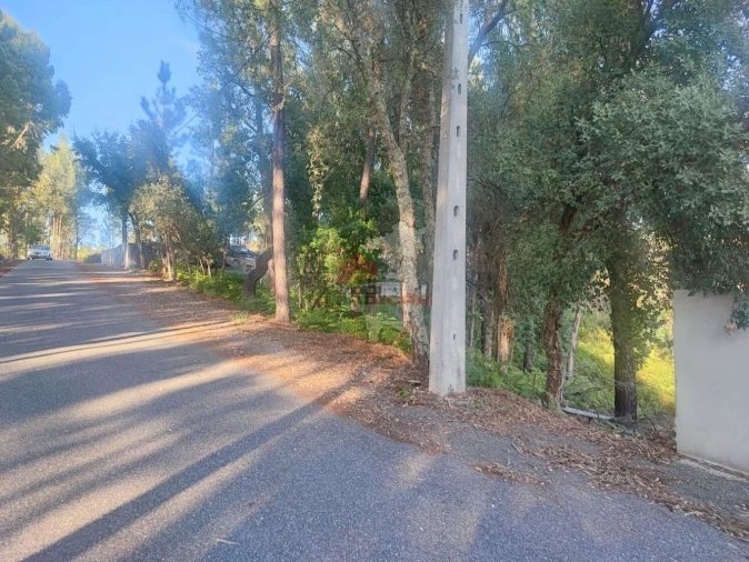 Terreno para Venda em Sertã Foto 12