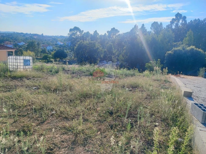 Terreno para Venda em Sertã