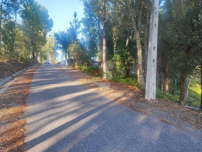 Terreno para Venda em Sertã Foto 11