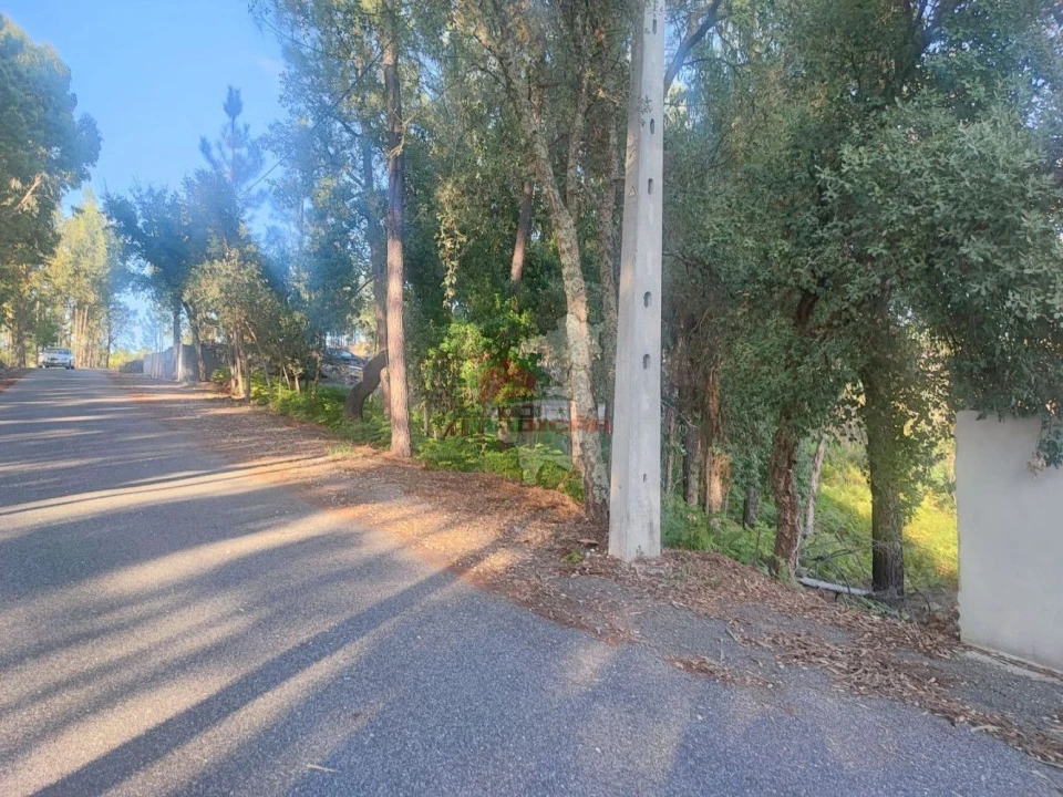 Terreno para Venda em Sertã Foto 12