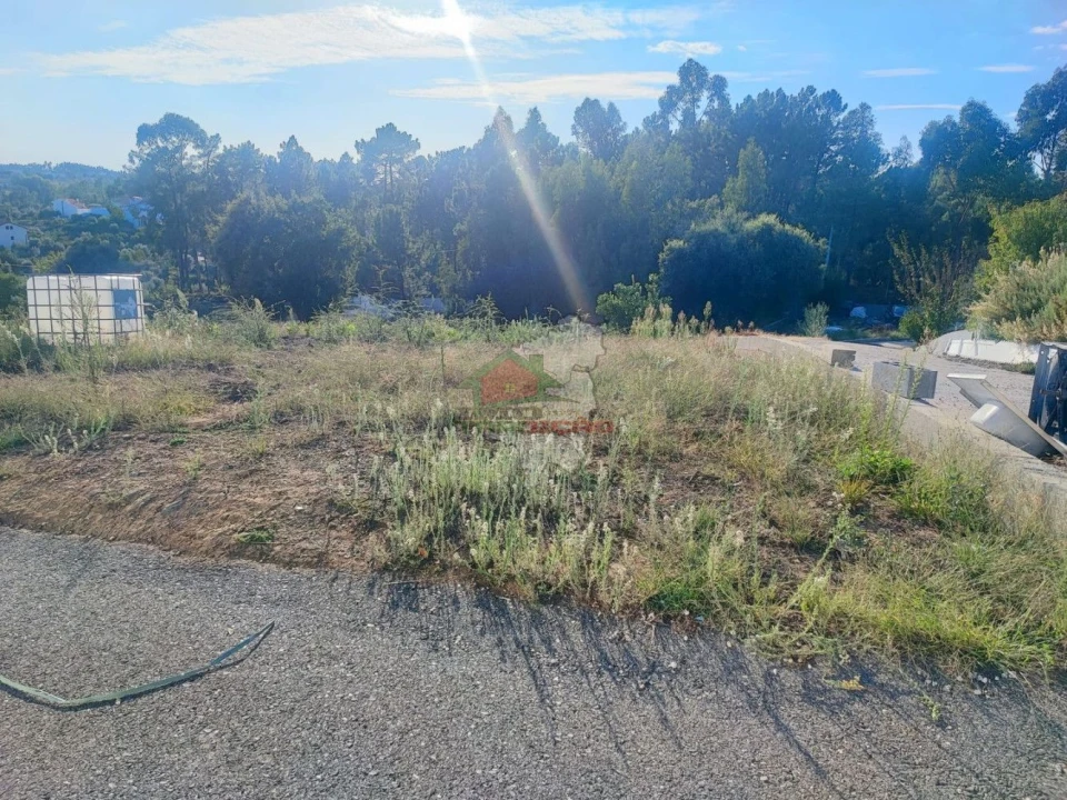 Terreno para Venda em Sertã Foto 2