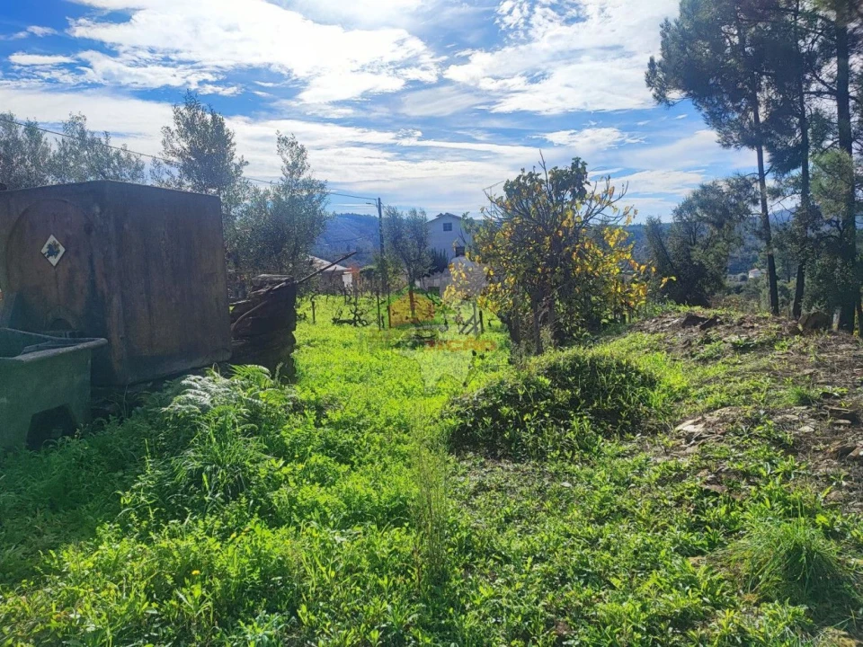 Quinta T0 para Venda em Varzea dos Cavaleiros Foto 22