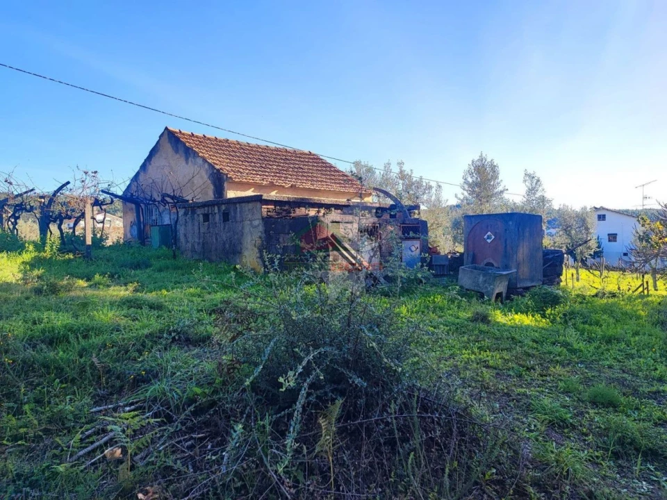 Quinta T0 para Venda em Varzea dos Cavaleiros Foto 23