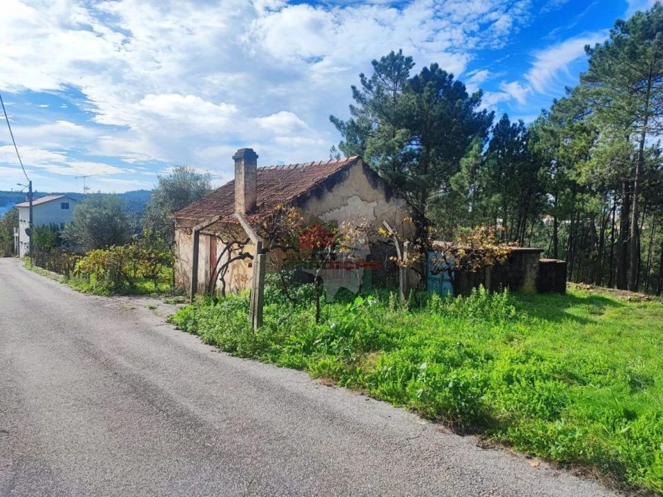 Quinta T0 para Venda em Varzea dos Cavaleiros Foto 24