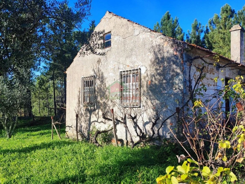 Quinta T0 para Venda em Varzea dos Cavaleiros Foto 3