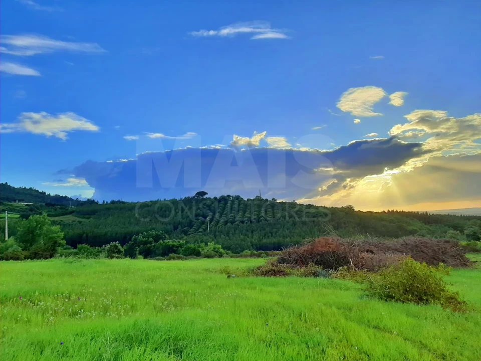Terreno para Venda em Lamas e Cercal Foto 5