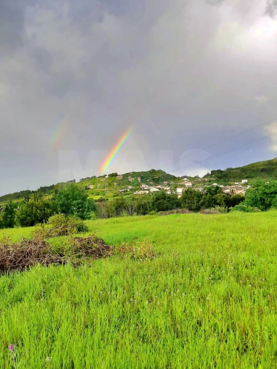 Terreno para Venda em Lamas e Cercal Foto 6