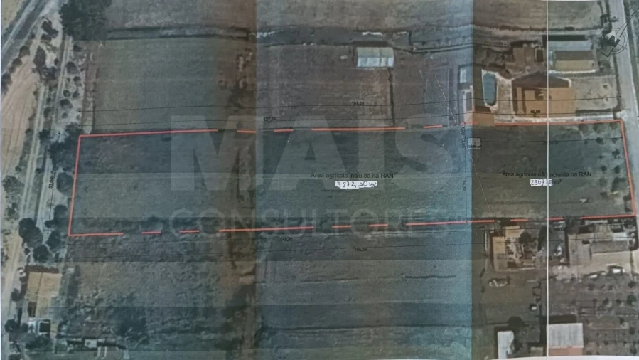 Terreno para Venda em Salvaterra de Magos e Foros de Salvaterra Foto 5