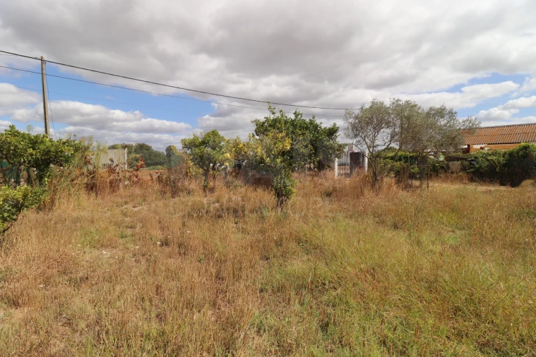 Terreno para Venda em Salvaterra de Magos e Foros de Salvaterra Foto 4