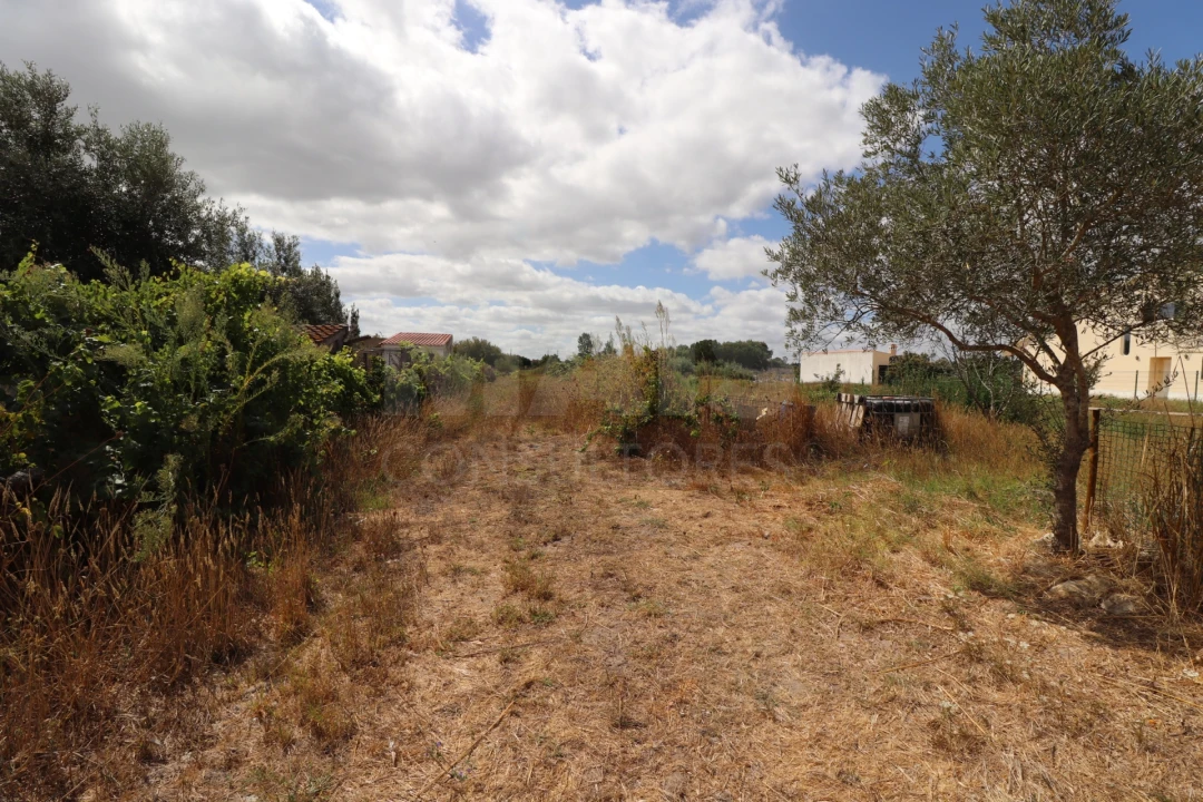 Terreno para Venda em Salvaterra de Magos e Foros de Salvaterra Foto 2