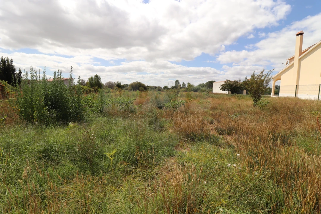 Terreno para Venda em Salvaterra de Magos e Foros de Salvaterra Foto 3