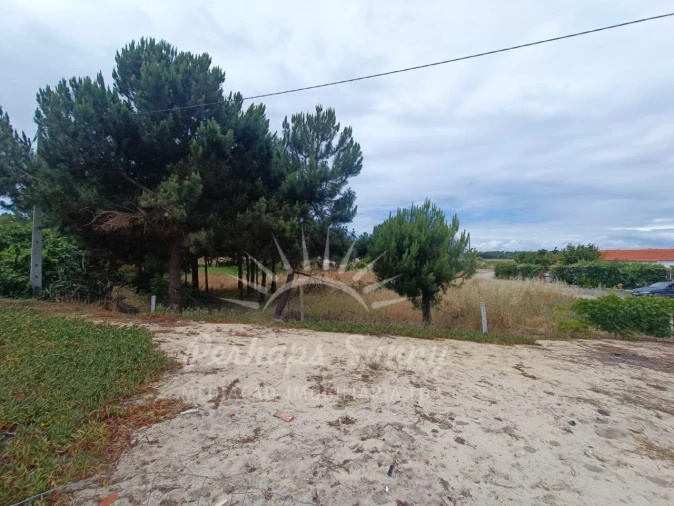 Moradia T3 para Venda em Carvalhal Foto 5